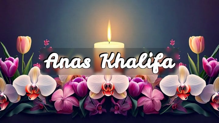 Anas Khalifa, Billerica, Massachusetts