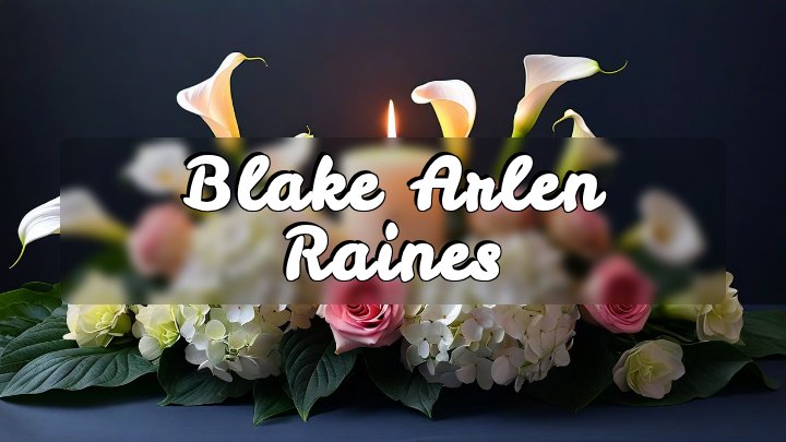 Blake Arlen Raines, Waterman, IL