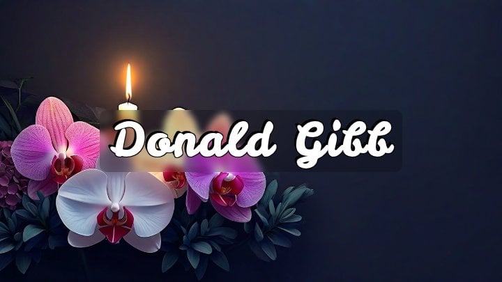 Donald Gibb, Texas