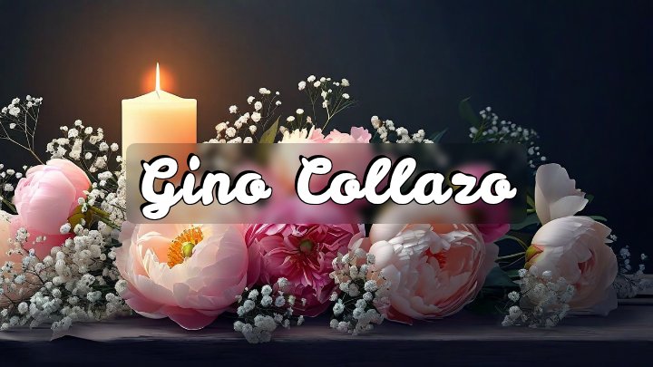Gino Collazo, Belvidere, Illinois