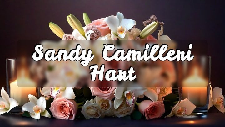 Sandy Camilleri Hart, Stow, MA