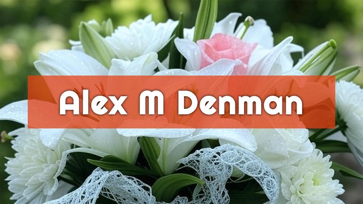 alex m denman mokena il obituary