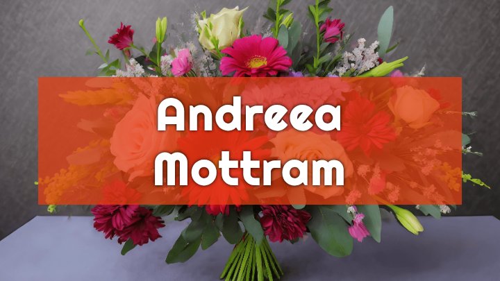 Andreea Mottram, Stafford, VA