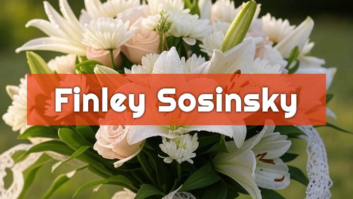 finley peter sosinsky hillsboro wi obituary