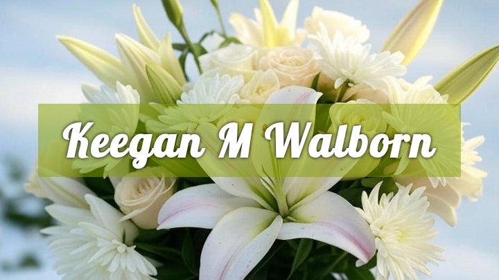keegan m walborn maumee oh obituary