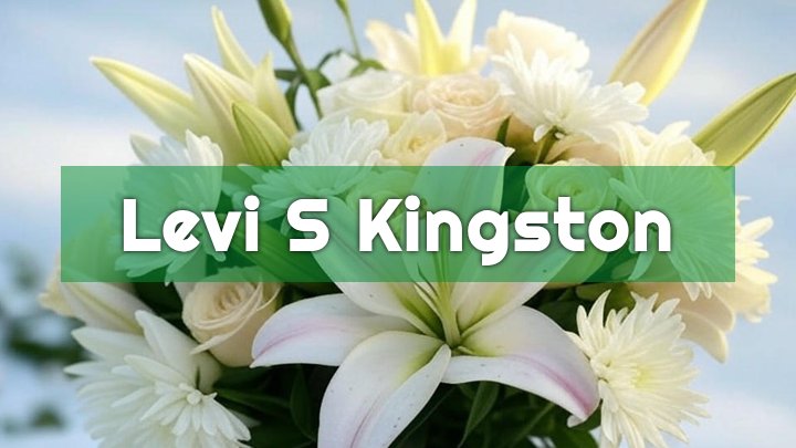 levi s kingston bloomsburg pa obituary