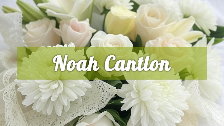 Noah Cantlon, Belle, MO