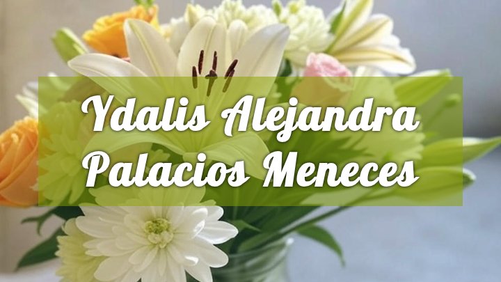 Ydalis Alejandra Palacios Meneces, Kissimmee, FL
